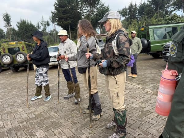 Luxury gorilla tracking by road, Uganda