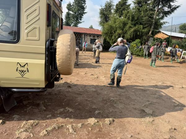 Luxury gorilla tracking by road, Uganda