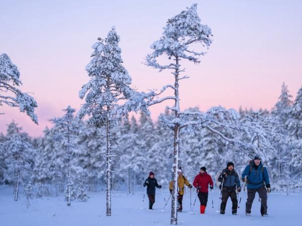Sweden winter wildlife short break