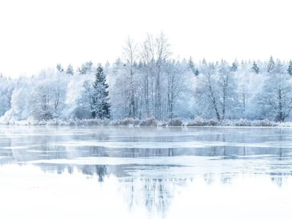 Sweden winter wildlife short break