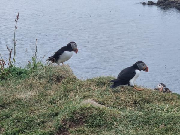 Inner Hebrides Scottish sailing holiday