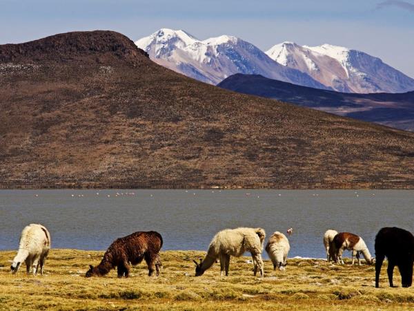 Andean culture & history holiday in Peru
