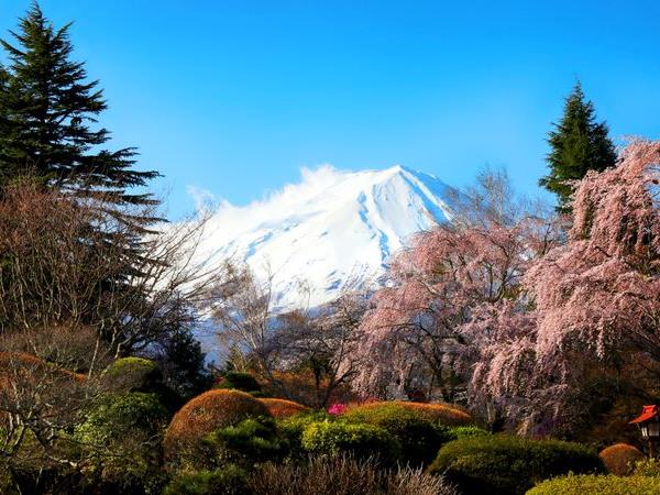 Japan & South Korea private escorted tour, 21 days