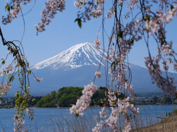Japan & South Korea private escorted tour, 21 days
