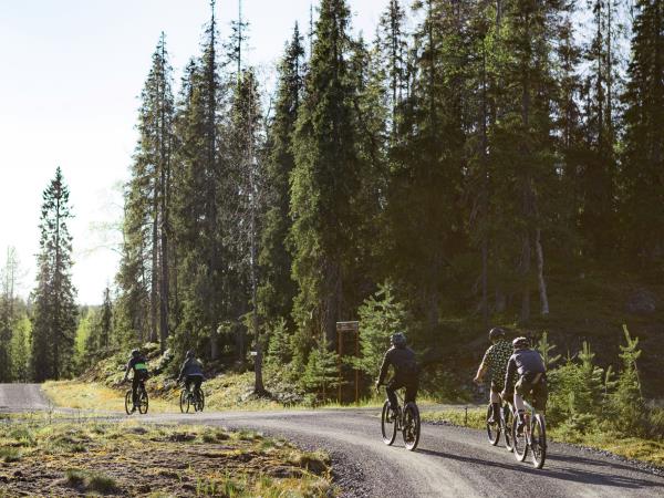 Finland gravel bike tour