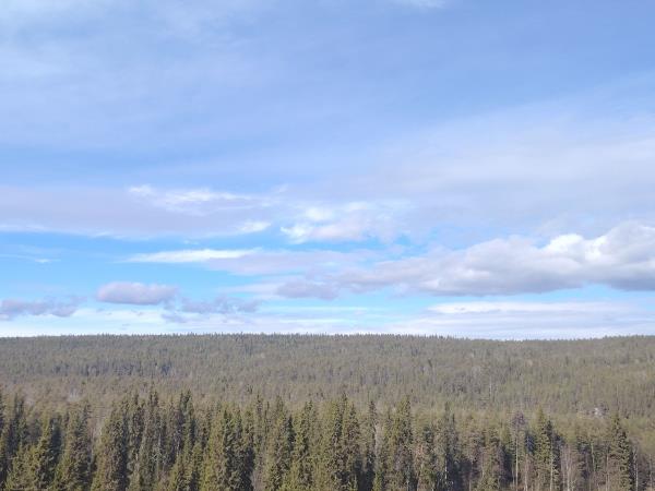 Finland gravel bike tour