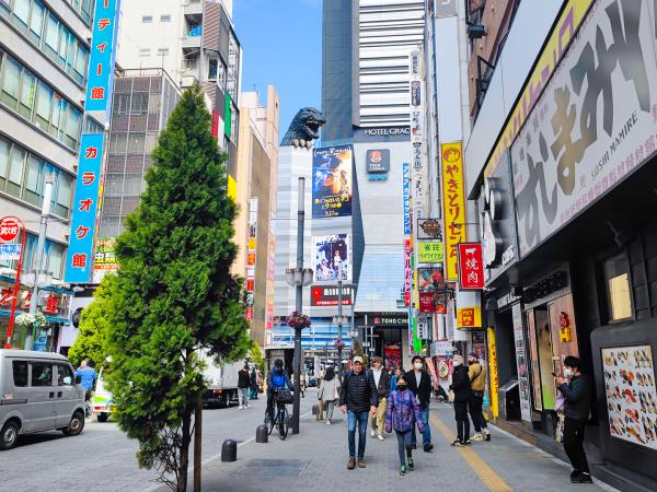 Japan cherry blossom holiday