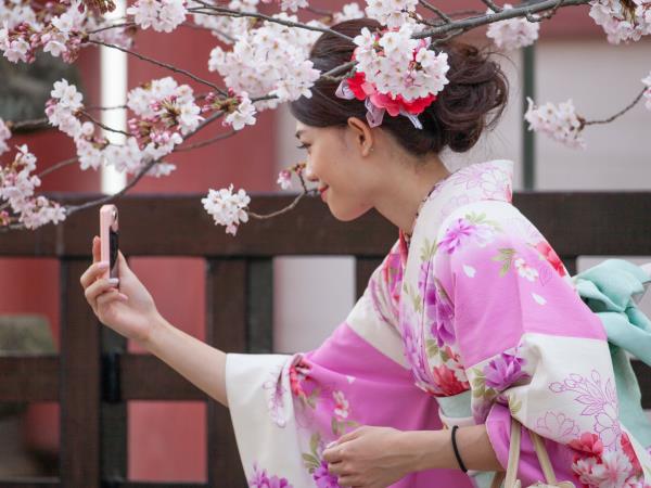 Japan cherry blossom holiday