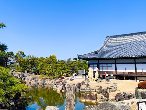 Japan cherry blossom holiday