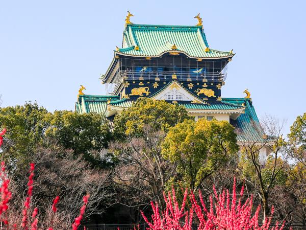 Japan cherry blossom holiday