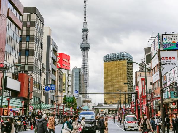 Japan winter holiday, tailor made