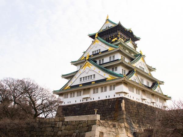 Japan winter holiday, tailor made