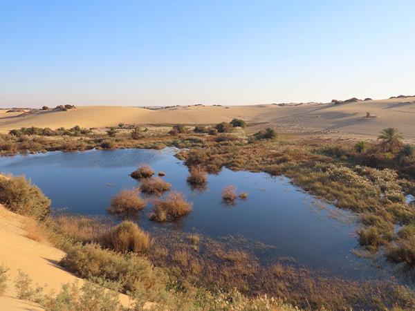 Sahara Desert 2027 solar eclipse holiday, Egypt