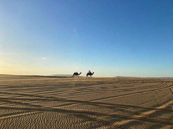 Sahara Desert 2027 solar eclipse holiday, Egypt