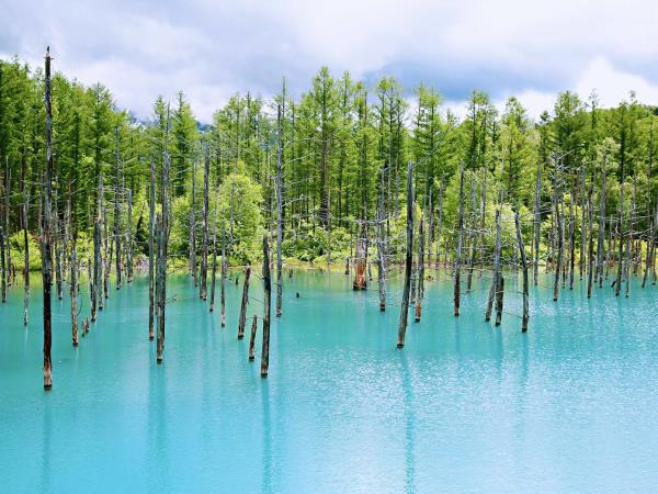 Hokkaido summer holiday in Japan