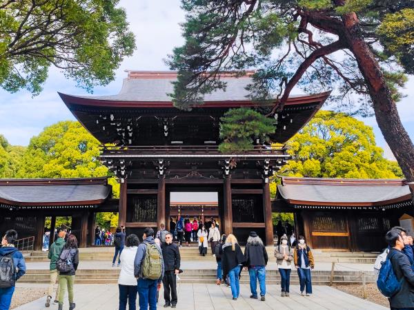 Japan tailormade holiday for foodies