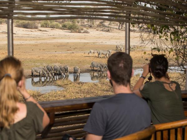 Botswana safari and Mozambique beach break