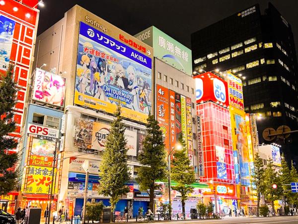 Family holiday to Japan, tailor made