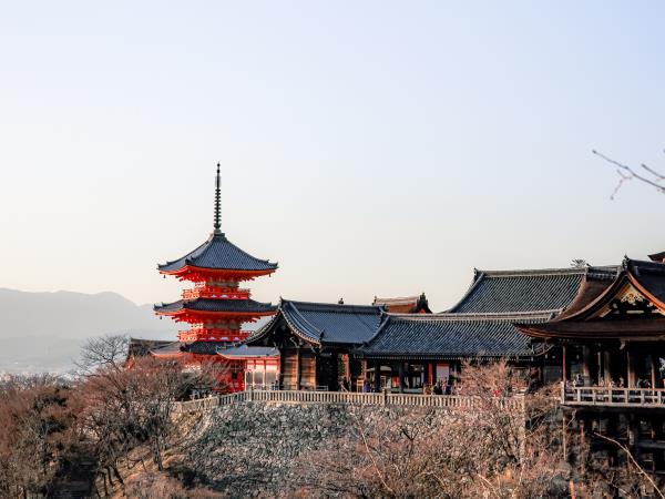 Family holiday to Japan, tailor made