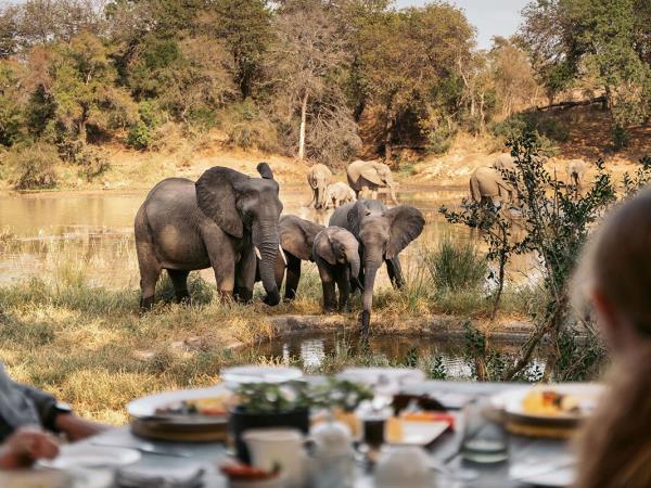 South Africa safari and Mauritius beach holiday