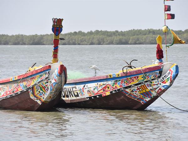 Senegal cultural tour incl Saint Louis Jazz Festival