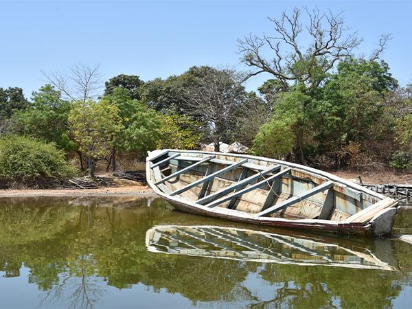 Senegal cultural tour incl Saint Louis Jazz Festival