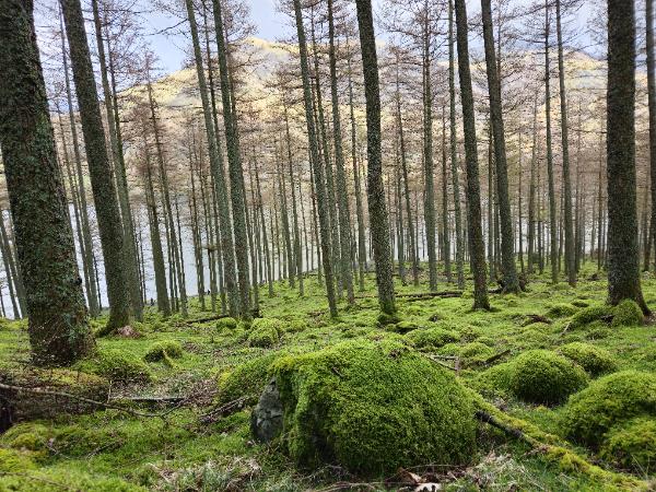 Lake district moderate to challenging walking holiday