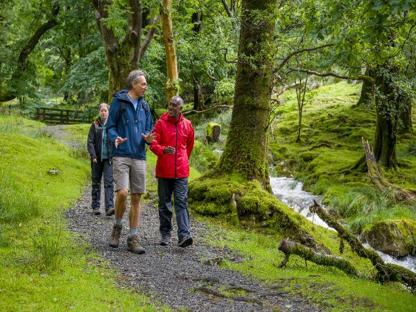 Lake district moderate to challenging walking holiday