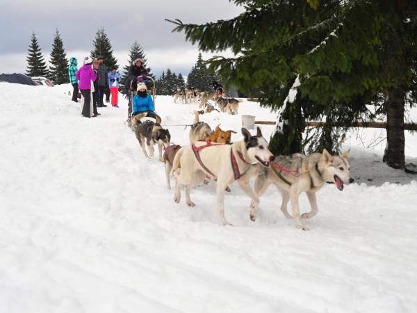 Winter family holiday in Slovakia, High Tatras