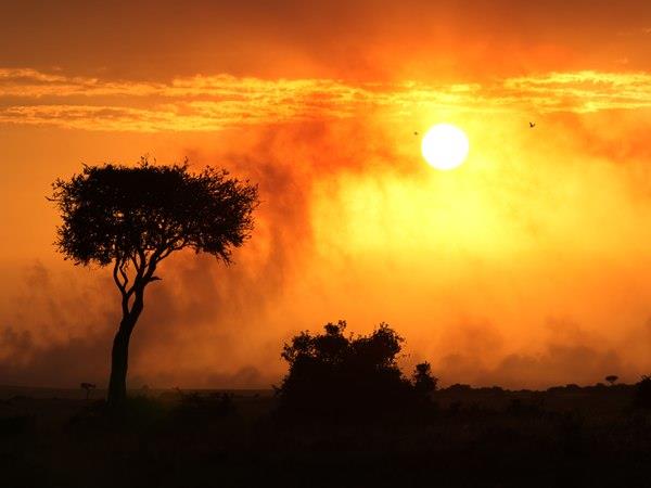 Kenya safari and Zanzibar beach holiday