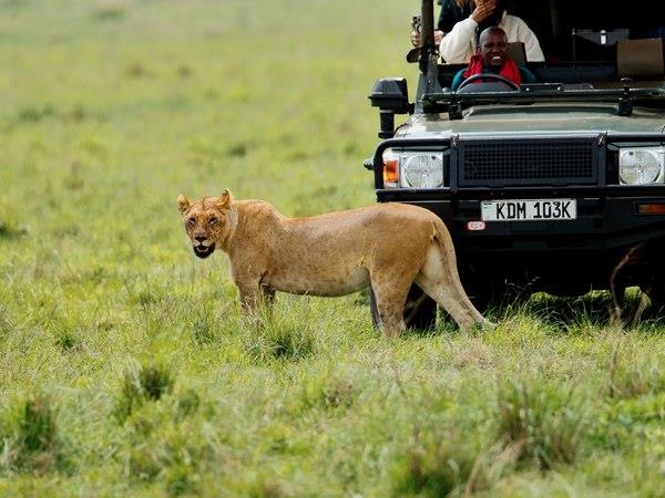 Kenya safari and Zanzibar beach holiday