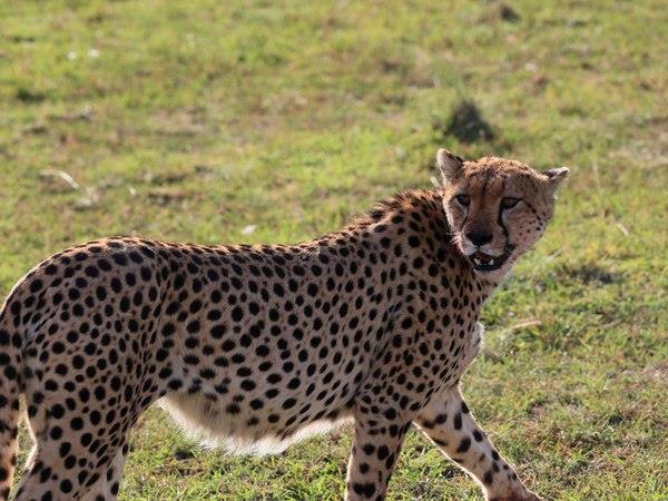 Kenya safari and Zanzibar beach holiday
