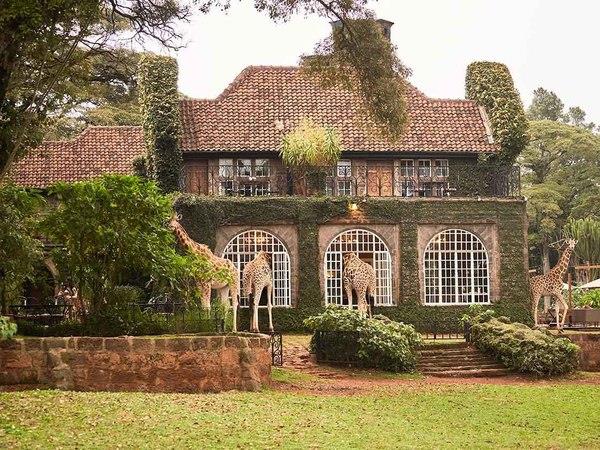 Kenya safari and Zanzibar beach holiday