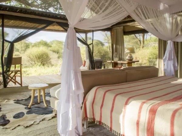 Northern Tanzania safari and Zanzibar beach holiday