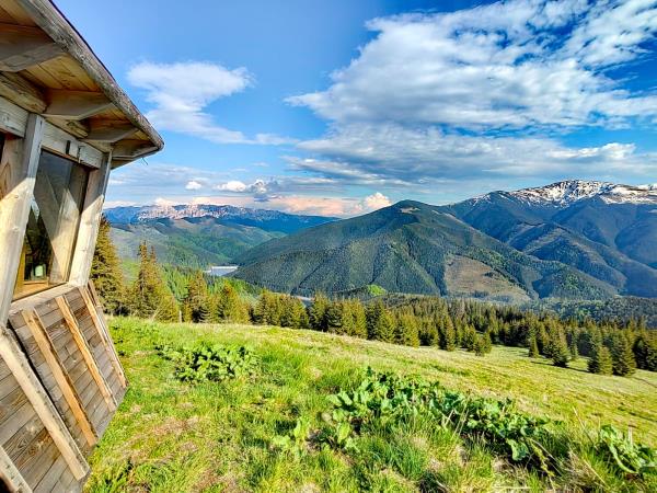 Romania wildlife holiday stay in wildlife hides