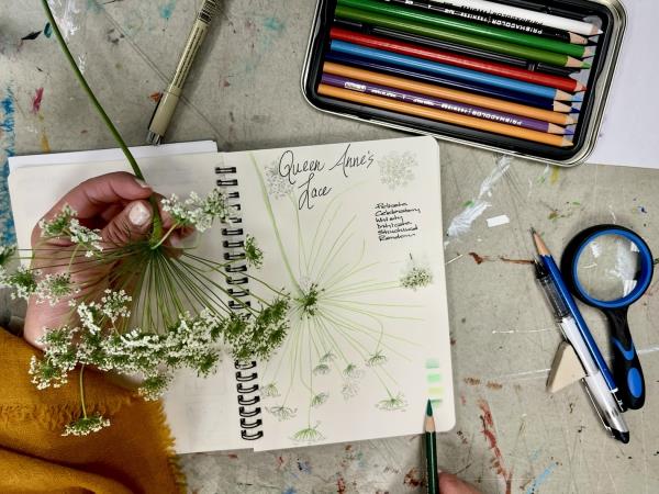 Illustrated nature journal retreat in Greece