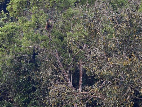 China wildlife holiday