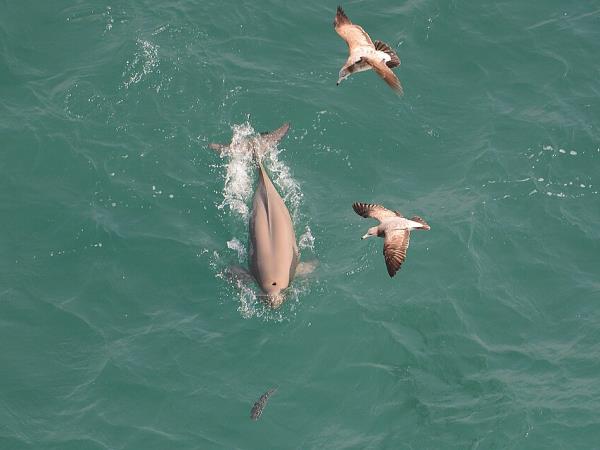 China wildlife holiday