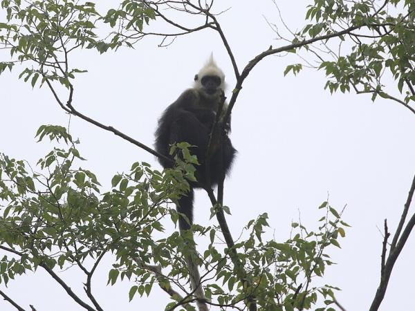 China wildlife holiday