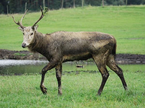 China wildlife holiday