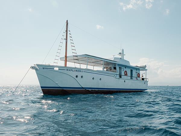 Raja Ampat snorkelling cruise
