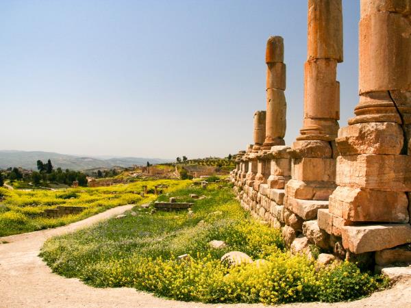 Jordan bird watching tour