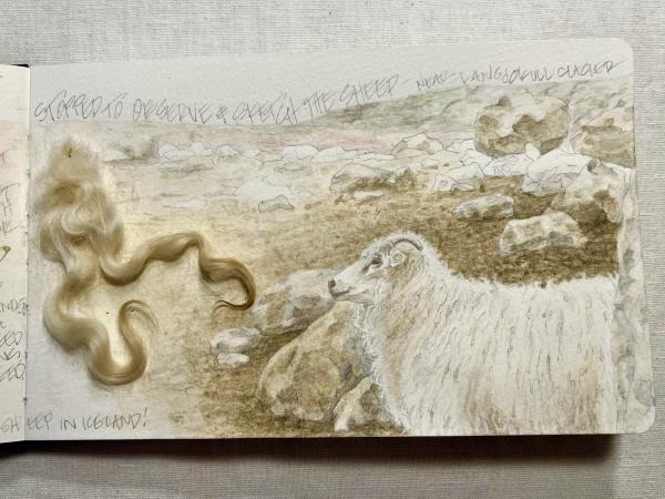 Illustrated nature journal retreat in Greece