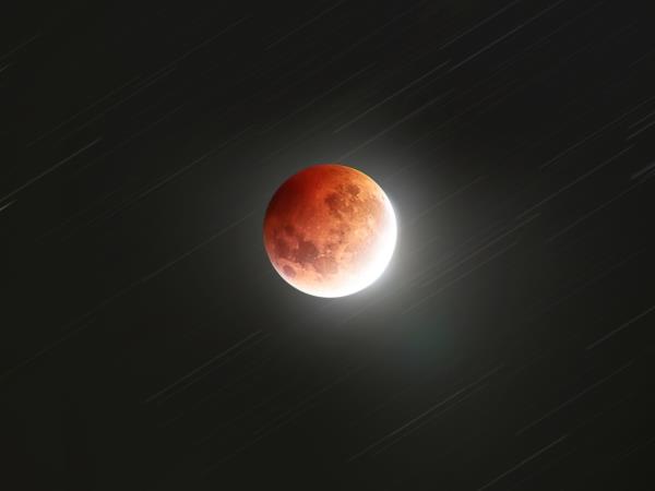 New Zealand solar eclipse 2028 holiday