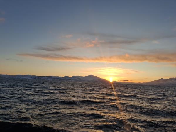 Norway sail & ski holiday