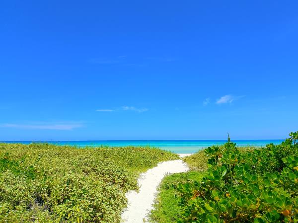 Yucatan wildlife and nature holiday, Mexico