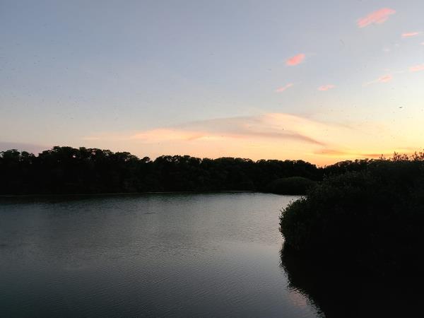Yucatan wildlife and nature holiday, Mexico