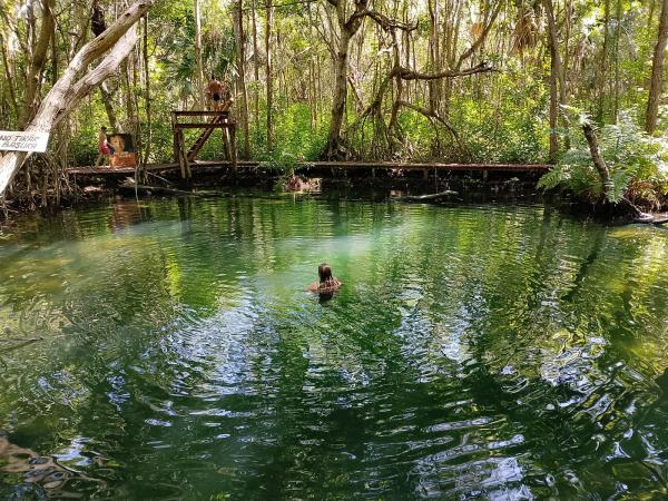 Yucatan wildlife and nature holiday, Mexico