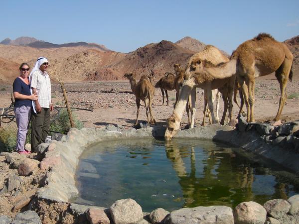 Dahab boutique hotel in Egypt