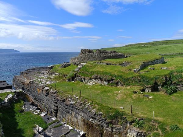 Orkney wildlife holiday, Scotland